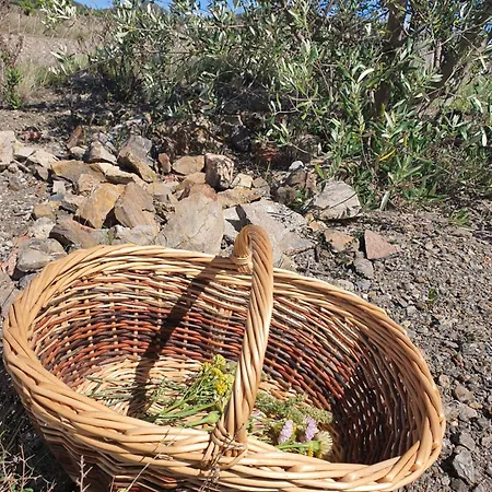 Frühstückspension La Barbacane De